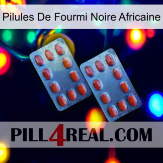 African Black Ant Pills 05
